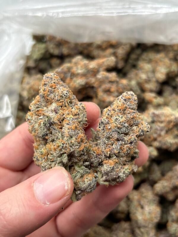 Buy cheese bud online