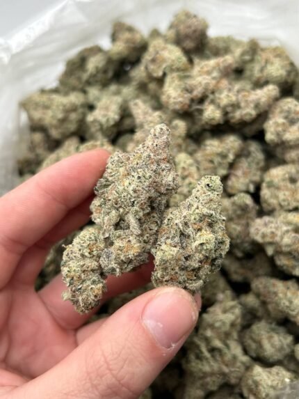 https://budhubuk.com/product/buy-sourdough-strain-online/