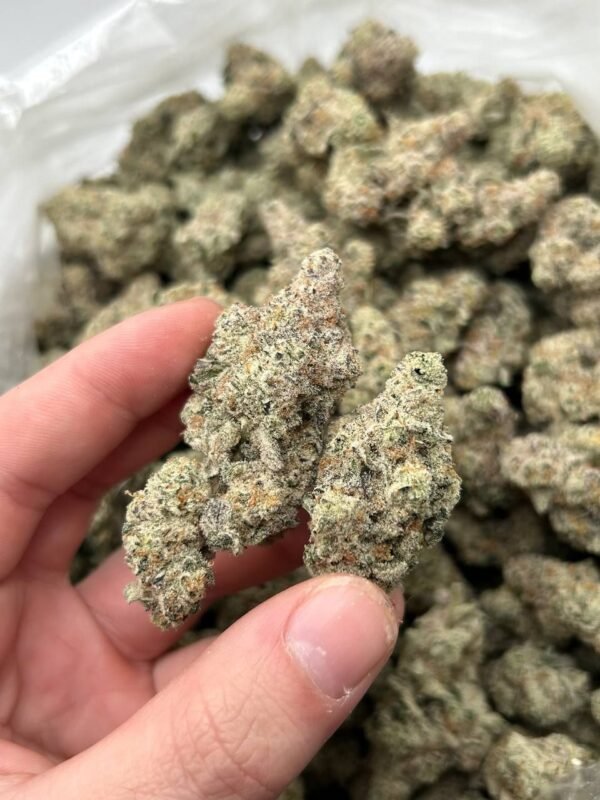 https://budhubuk.com/product/buy-sourdough-strain-online/