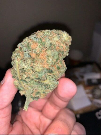 buy Mimosa Strain online