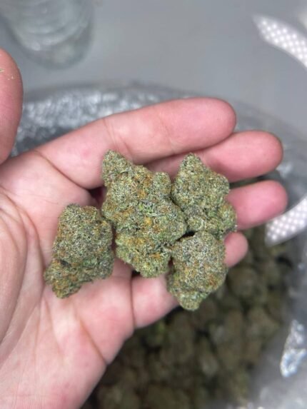 Buy Stardawg Strain online