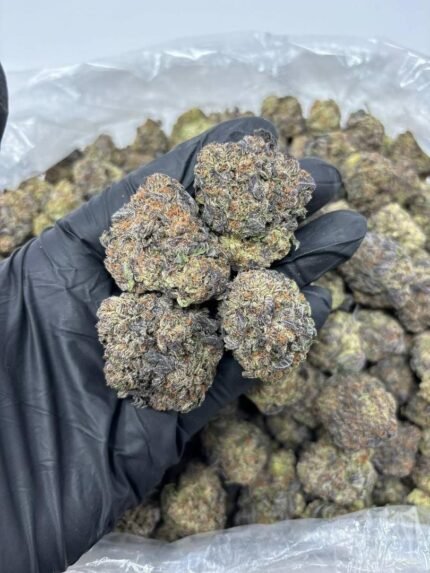 Buy Amnesia Haze online