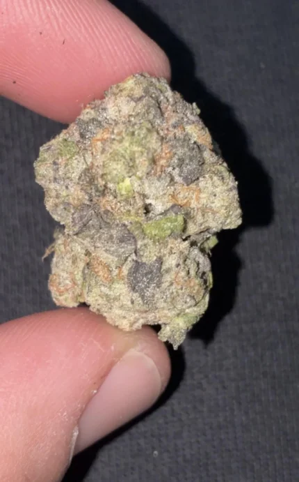 buy gorilla glue online