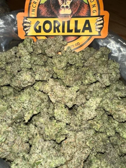 buy gorilla glue online