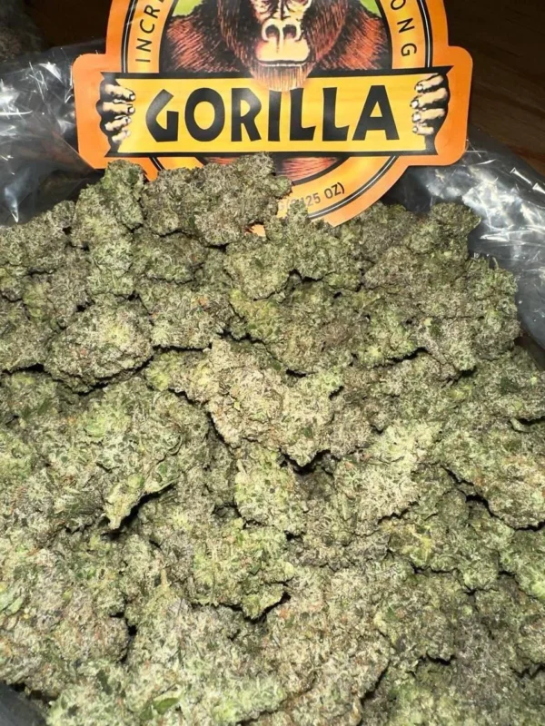buy gorilla glue online